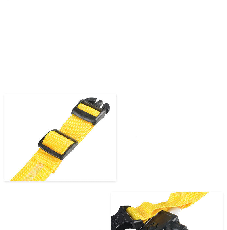 Hound & Trail NightPaw Illuminated Dog Collar