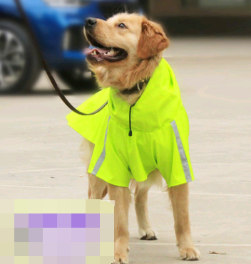 Hound & Trail RainReady Reflective Dog Coat