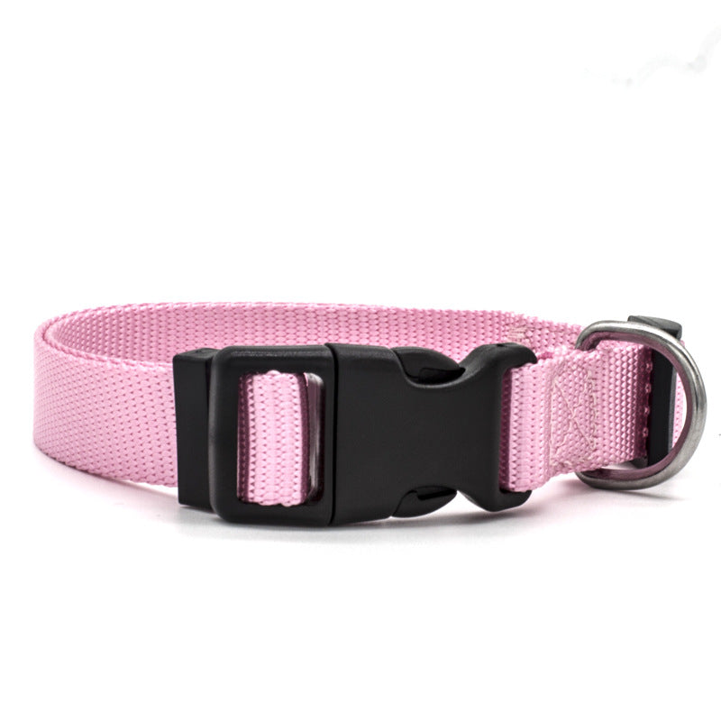 Hound & Trail Everyday Adjustable Dog Collar