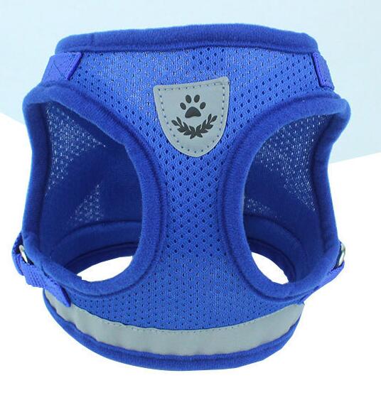 Hound & Trail Everyday Mesh Harness & Lead Set
