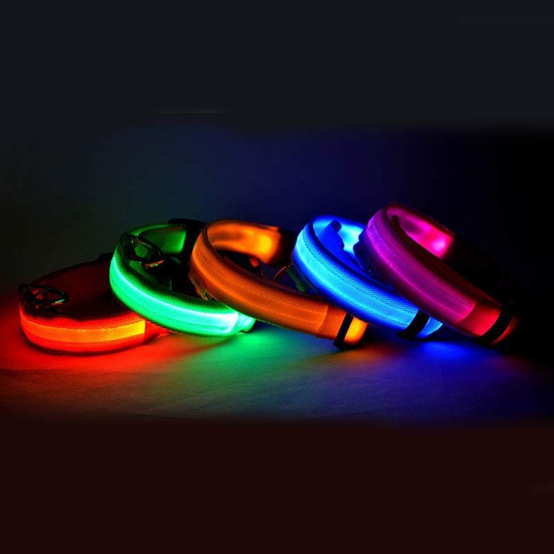 Hound & Trail NightPaw Illuminated Dog Collar