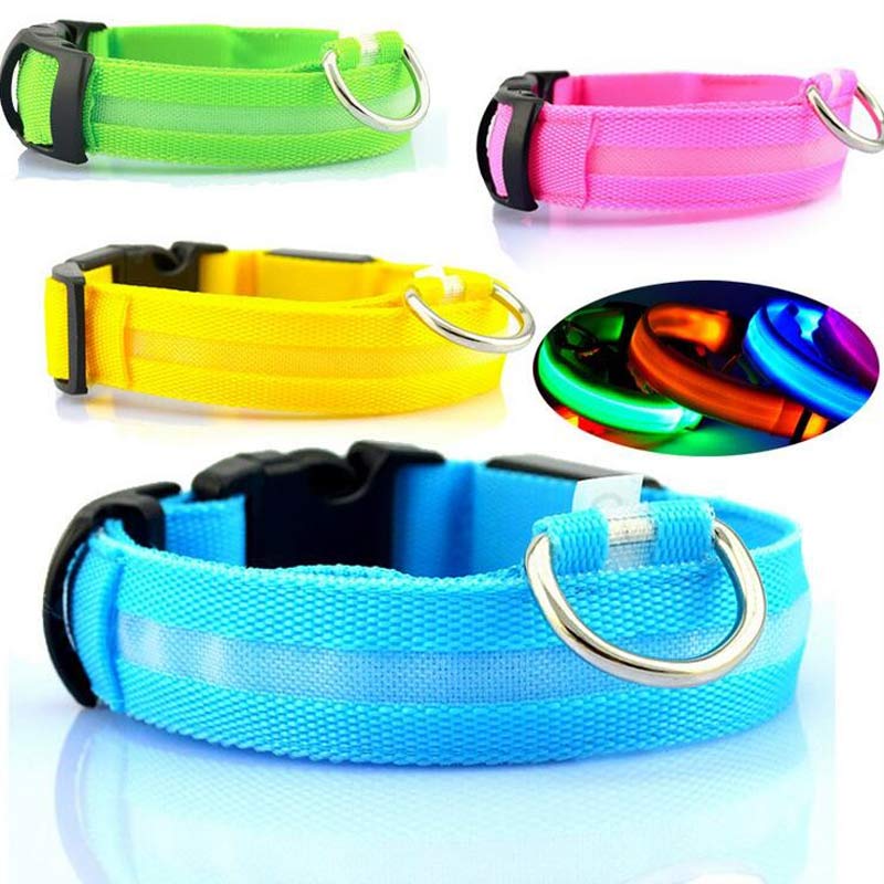 Hound & Trail NightPaw Illuminated Dog Collar