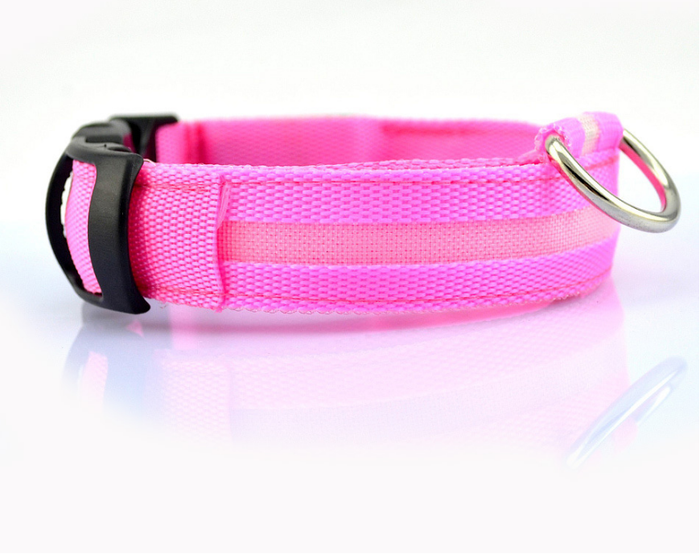 Hound & Trail NightPaw Illuminated Dog Collar